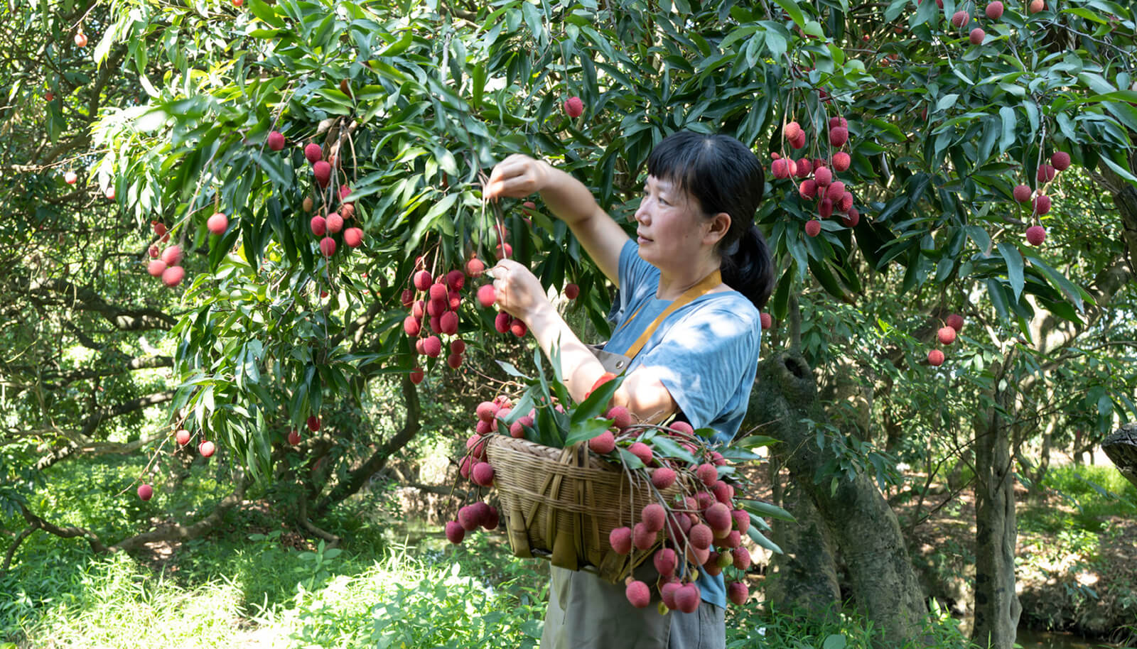 農業